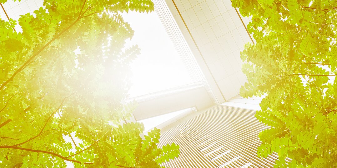 Grüne Baume zwischen Gebäuden 